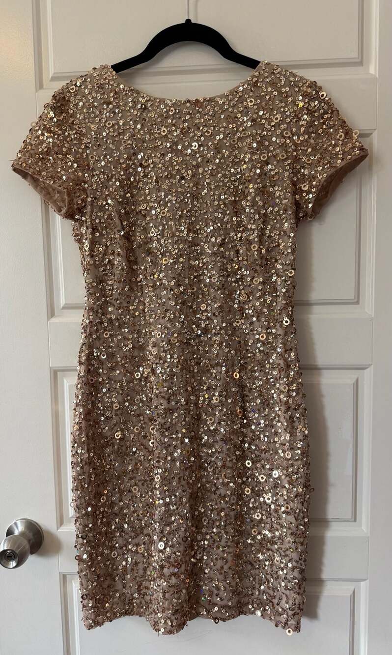 Adrianna Papell Short Sleeve Scoop Back Champagne Gold Sequin Dress 6 Petite - Picture 3 of 9